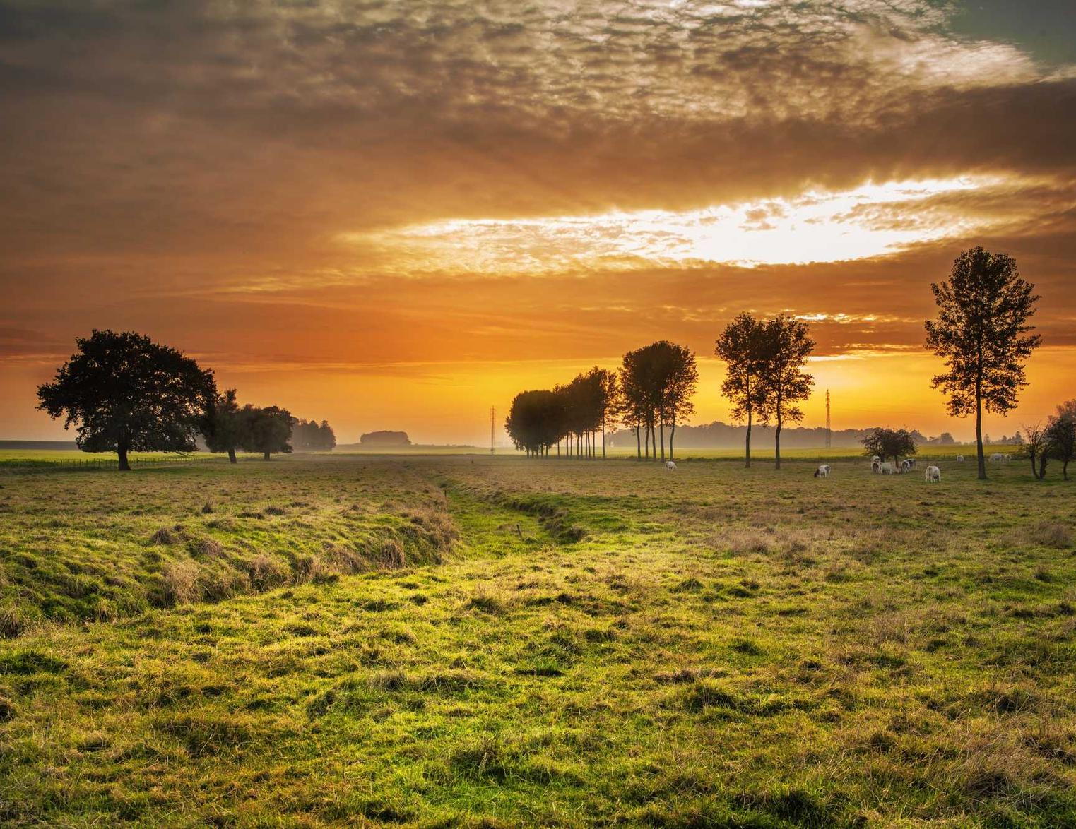 中国移动实名账号：江西聚财代理注册