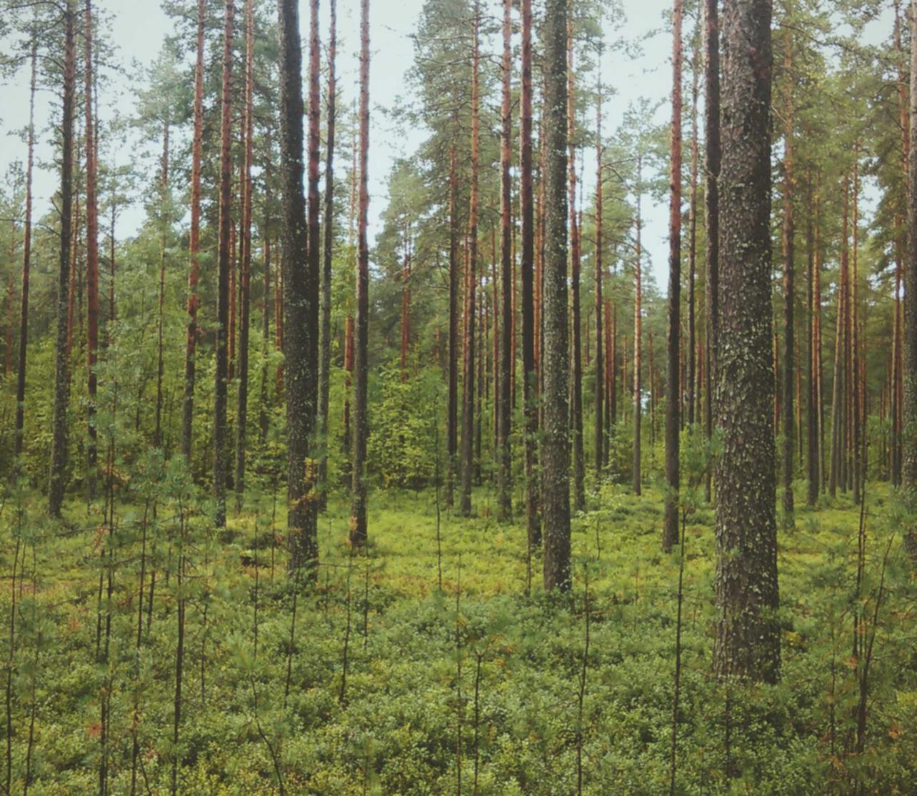 DDOS平台|做头条怎么申请注册账号