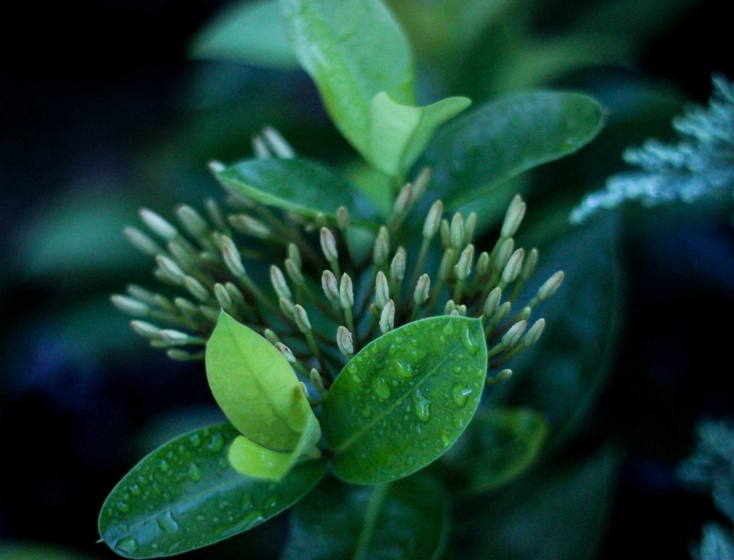 免实名流量卡下单软件- 黑色沙漠怎么注册账号手机