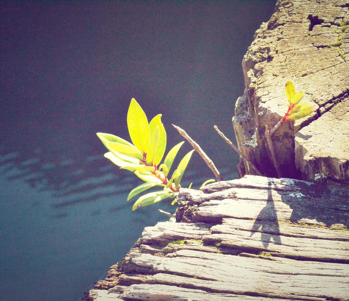 app详情下载教程云世界