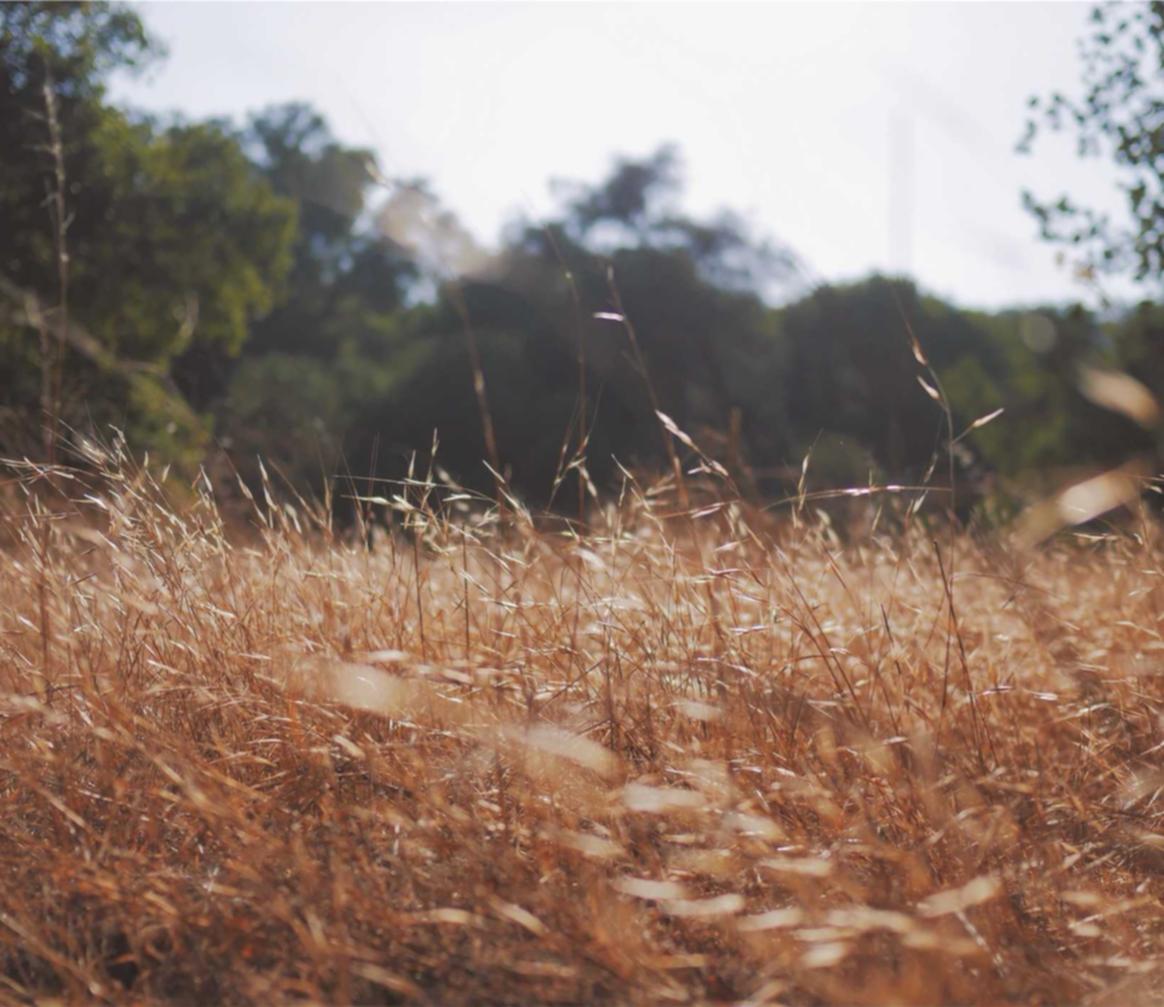 阴阳师：百闻牌：app怎么详情下载教程超过100m