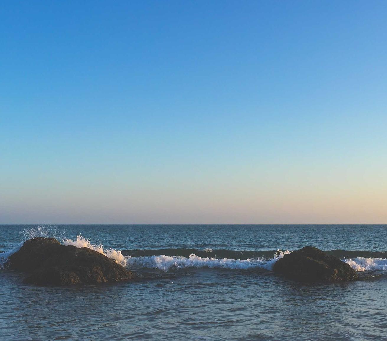 阿凡提香蕉：肿瘤检测项目代理平台