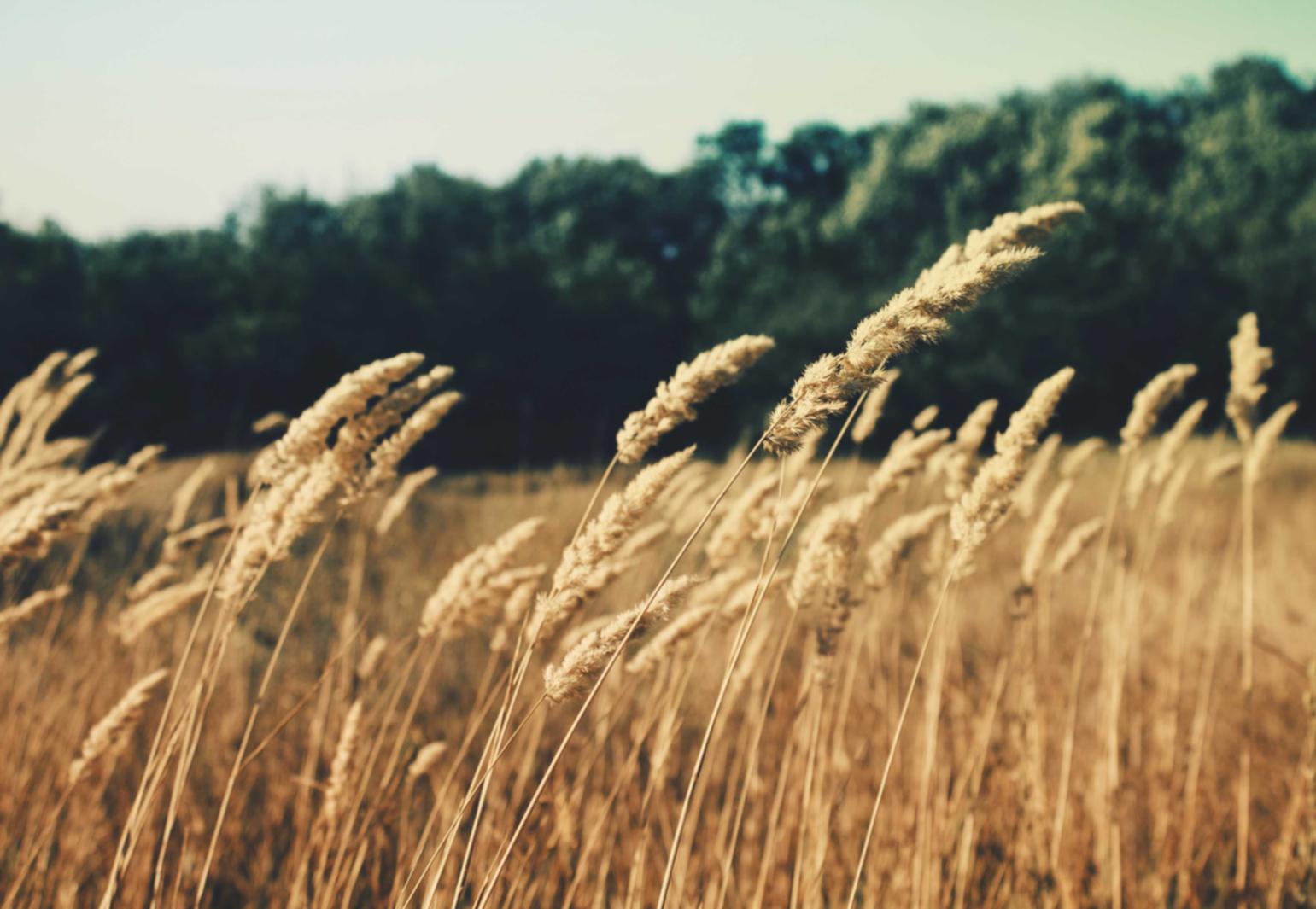 阿里云为您构筑强固防线，守护网络畅通