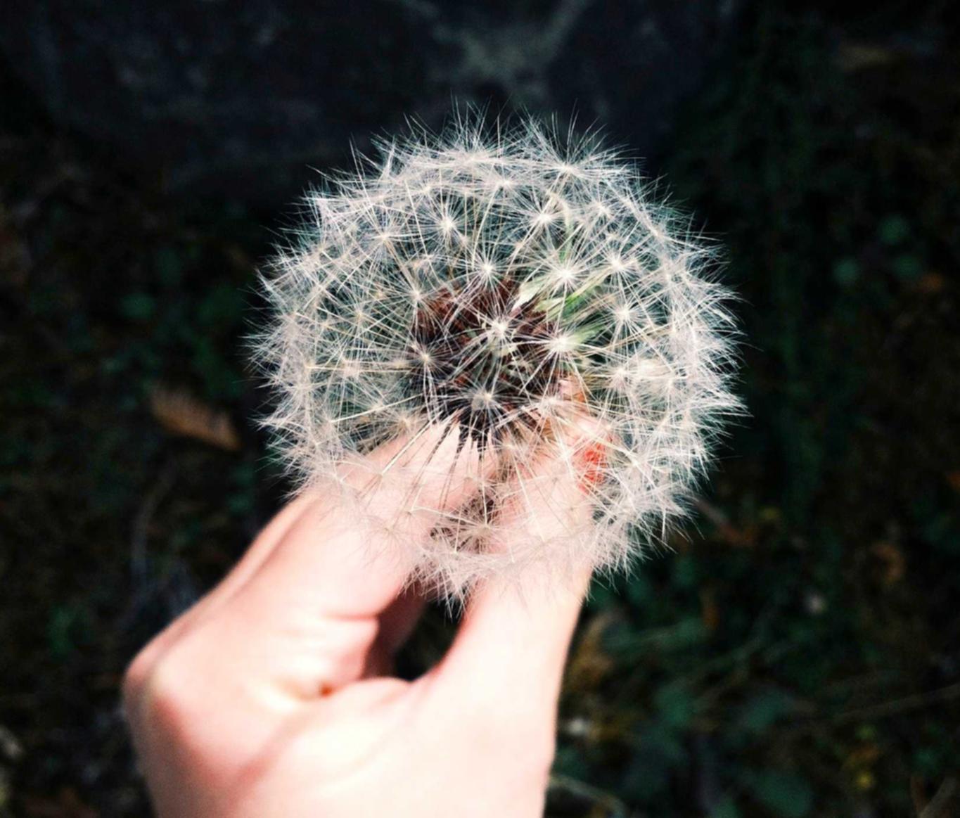 DDOS攻击测试|代理注册工商掘金