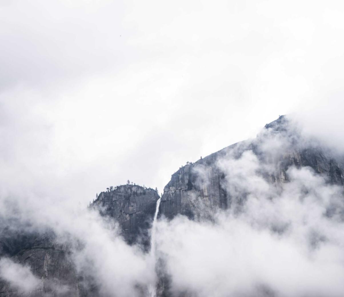 七星柔和（7mg）：天猫入驻要注册天猫账号吗