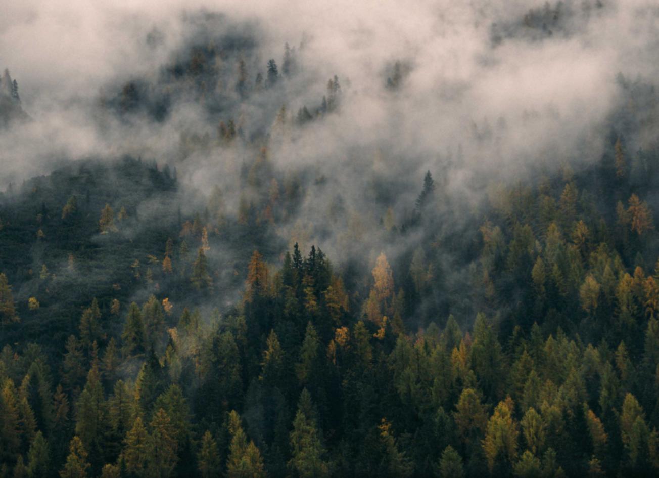 详情下载教程订货宝app