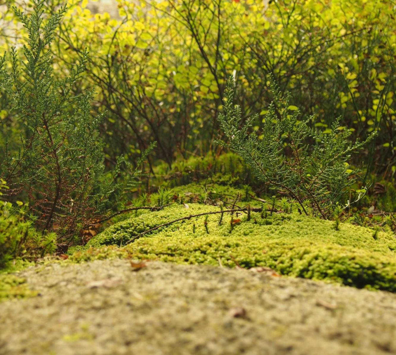 WX老号发卡网：蜀山代理记账注册公司代理