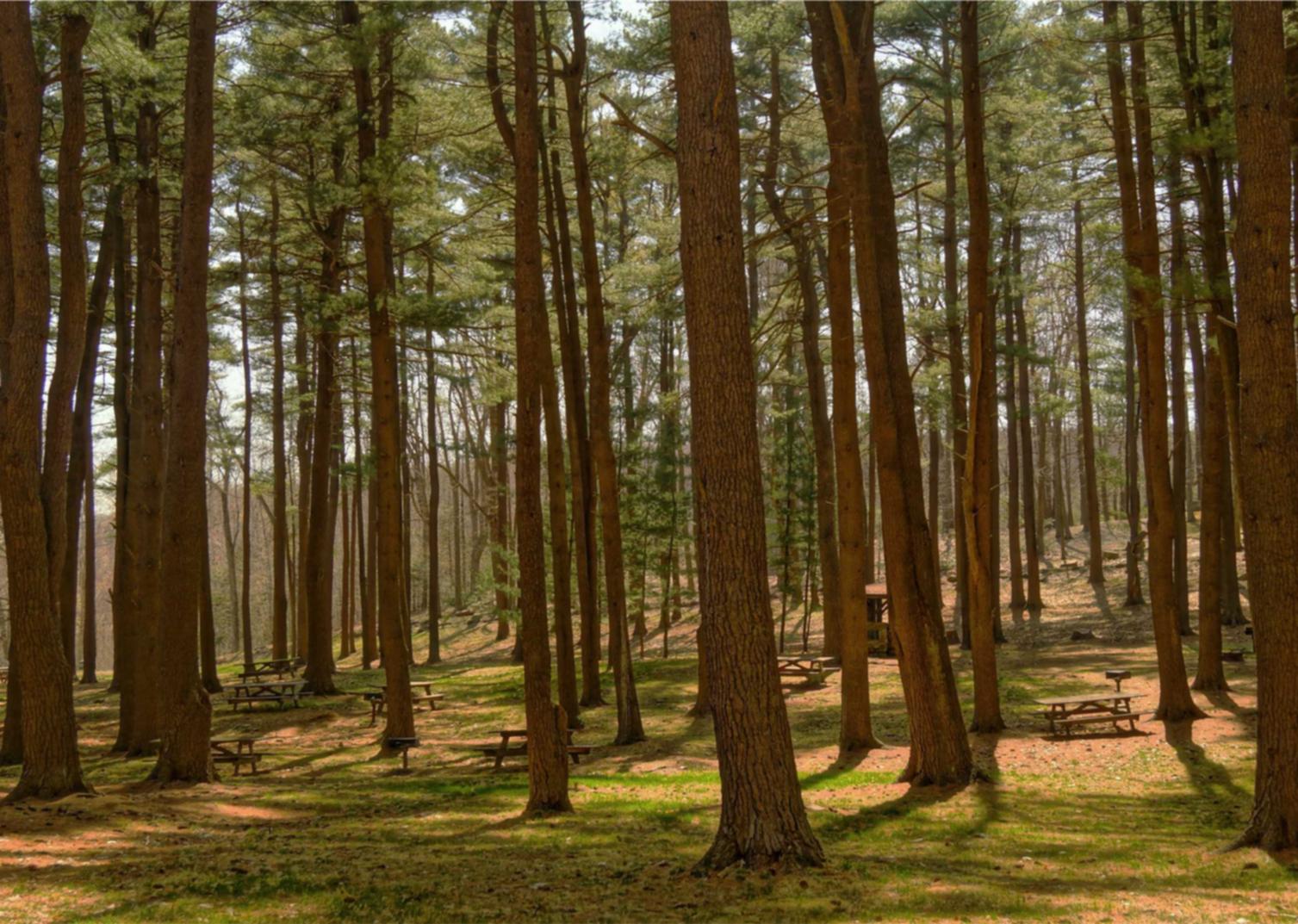 中国联通实名账号：韩国台历购买平台