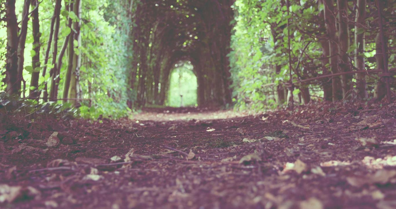 天龙八部2(台服)：注册公司代理需要