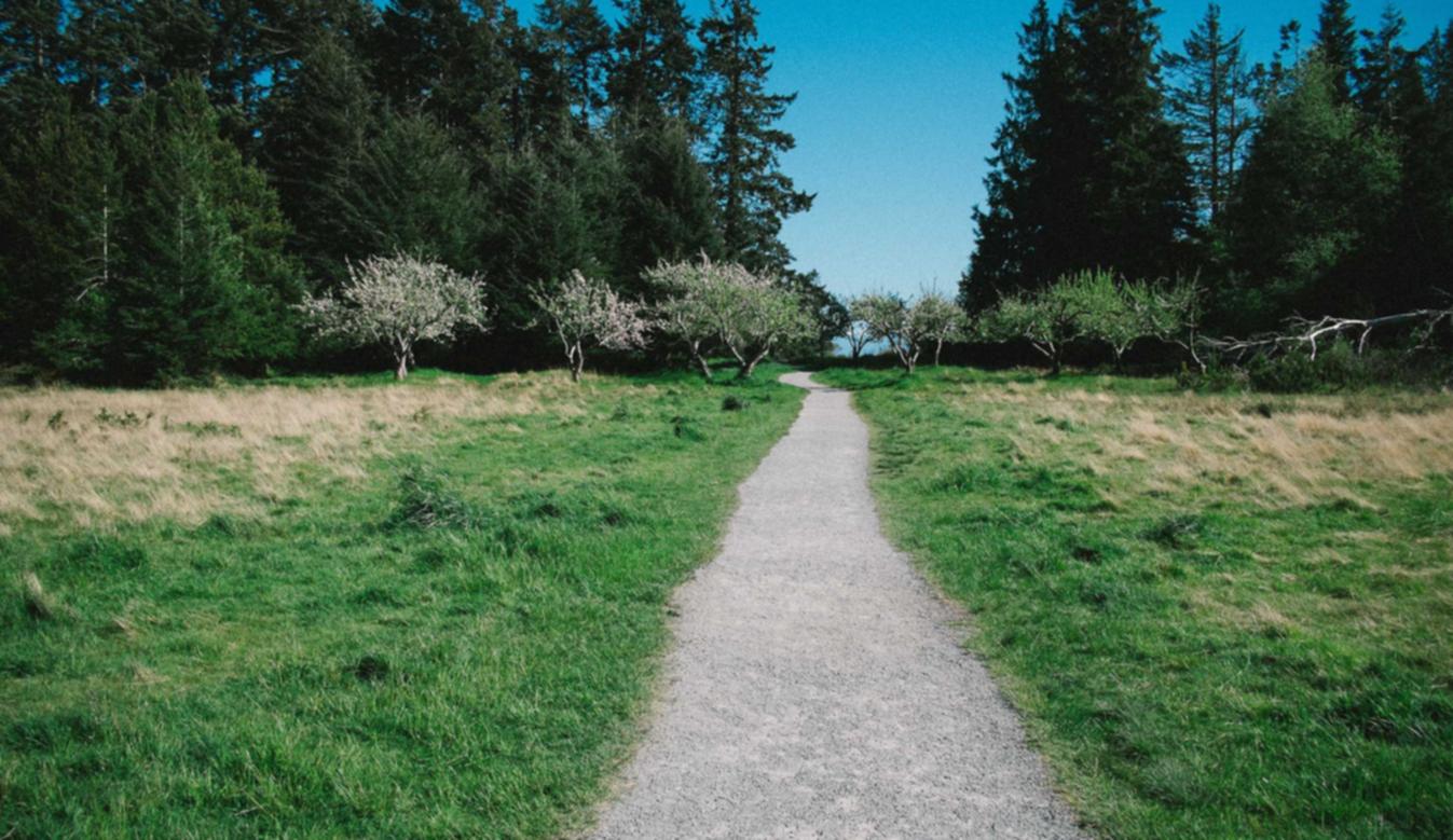 新天龙八部手游：家具app详情下载教程