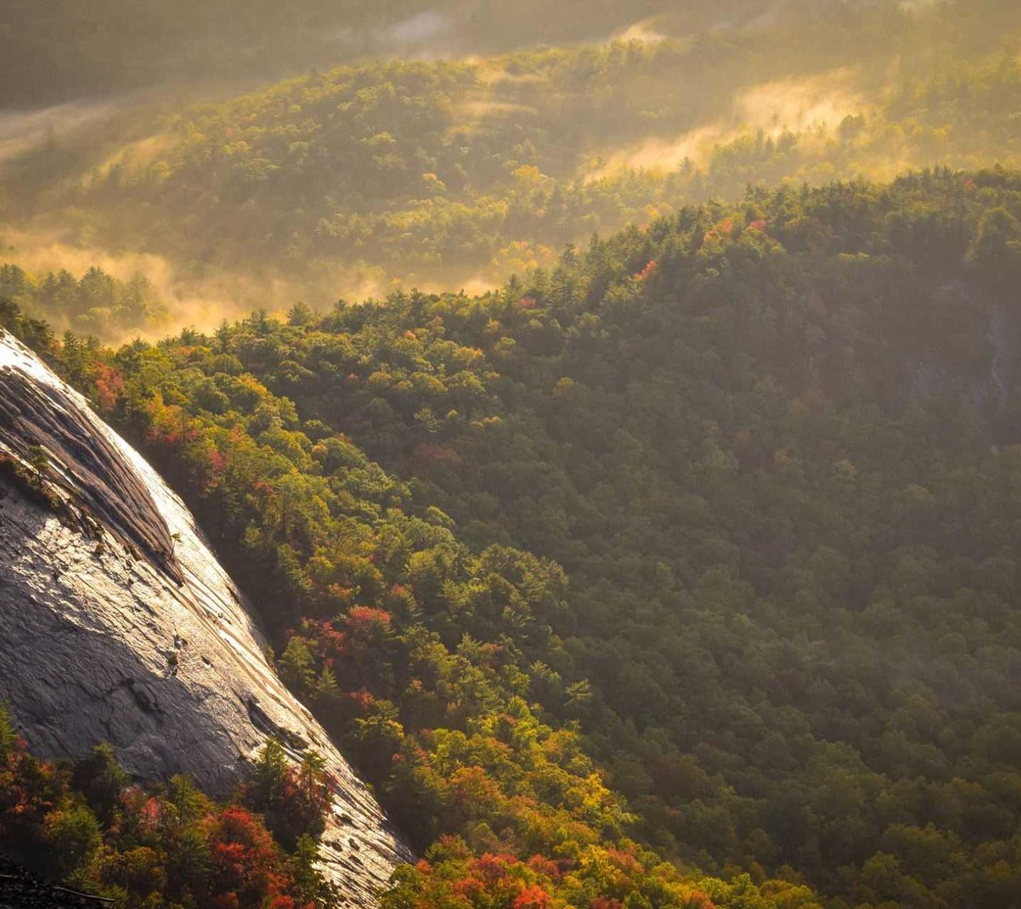 出售私人号微信：嘉兴企业注册代理报价