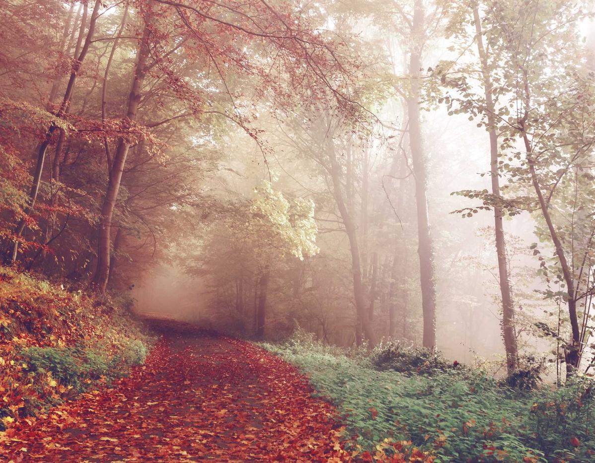 DDOS接单平台|如何保证应用程序安全防范黑客攻击