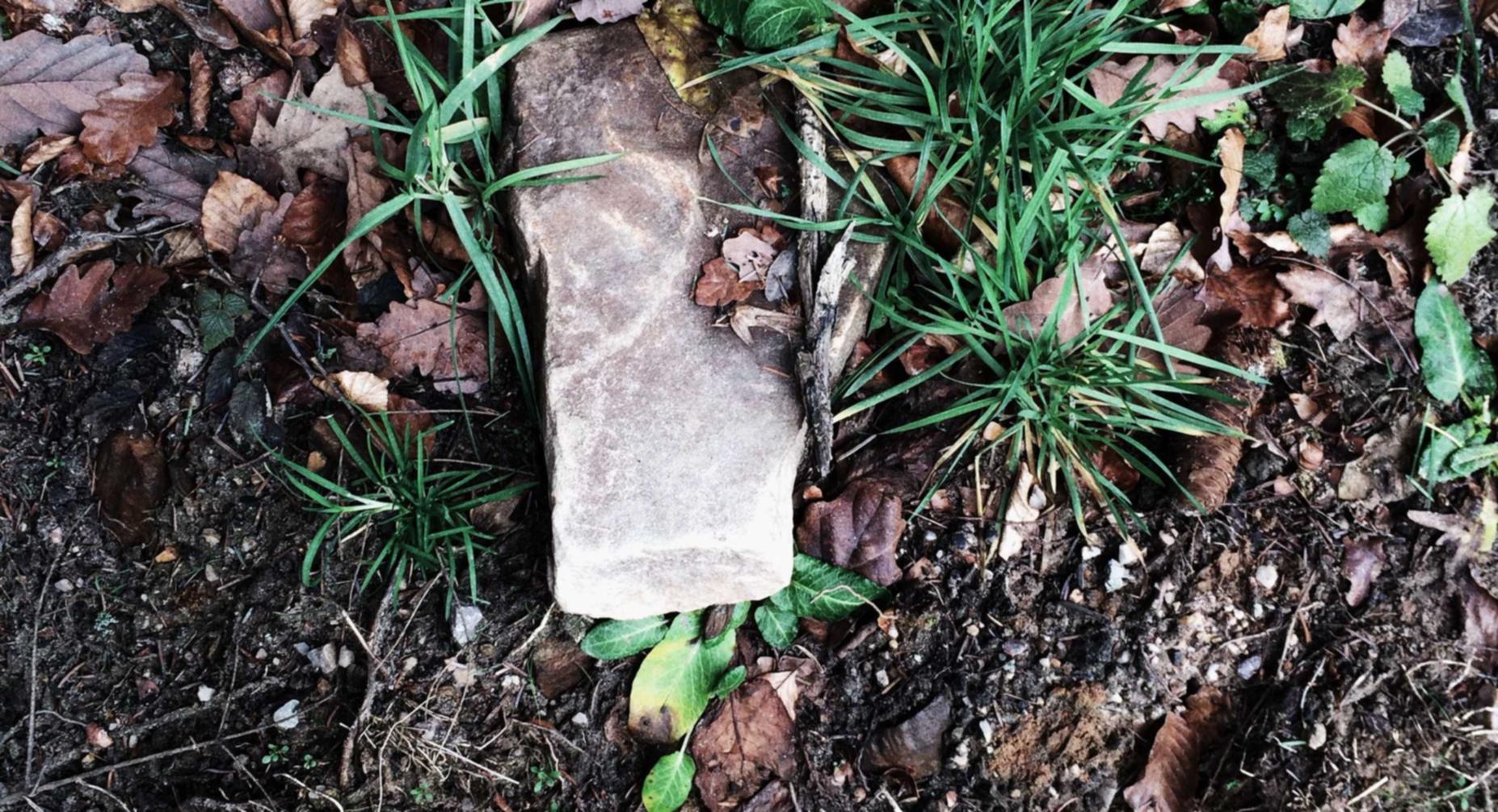 犬夜叉-觉醒：珠海海外公司注册代理机构