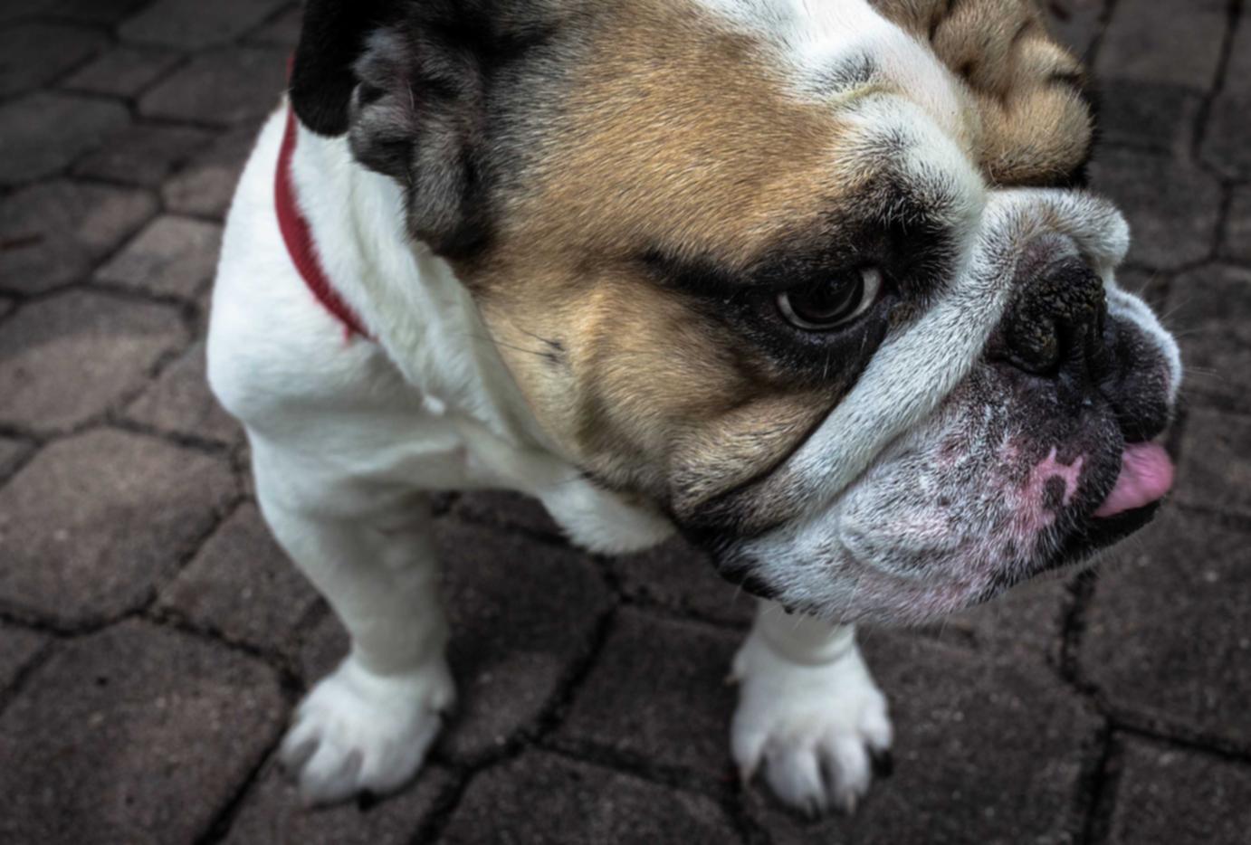 斗战神：千易贷app详情下载教程