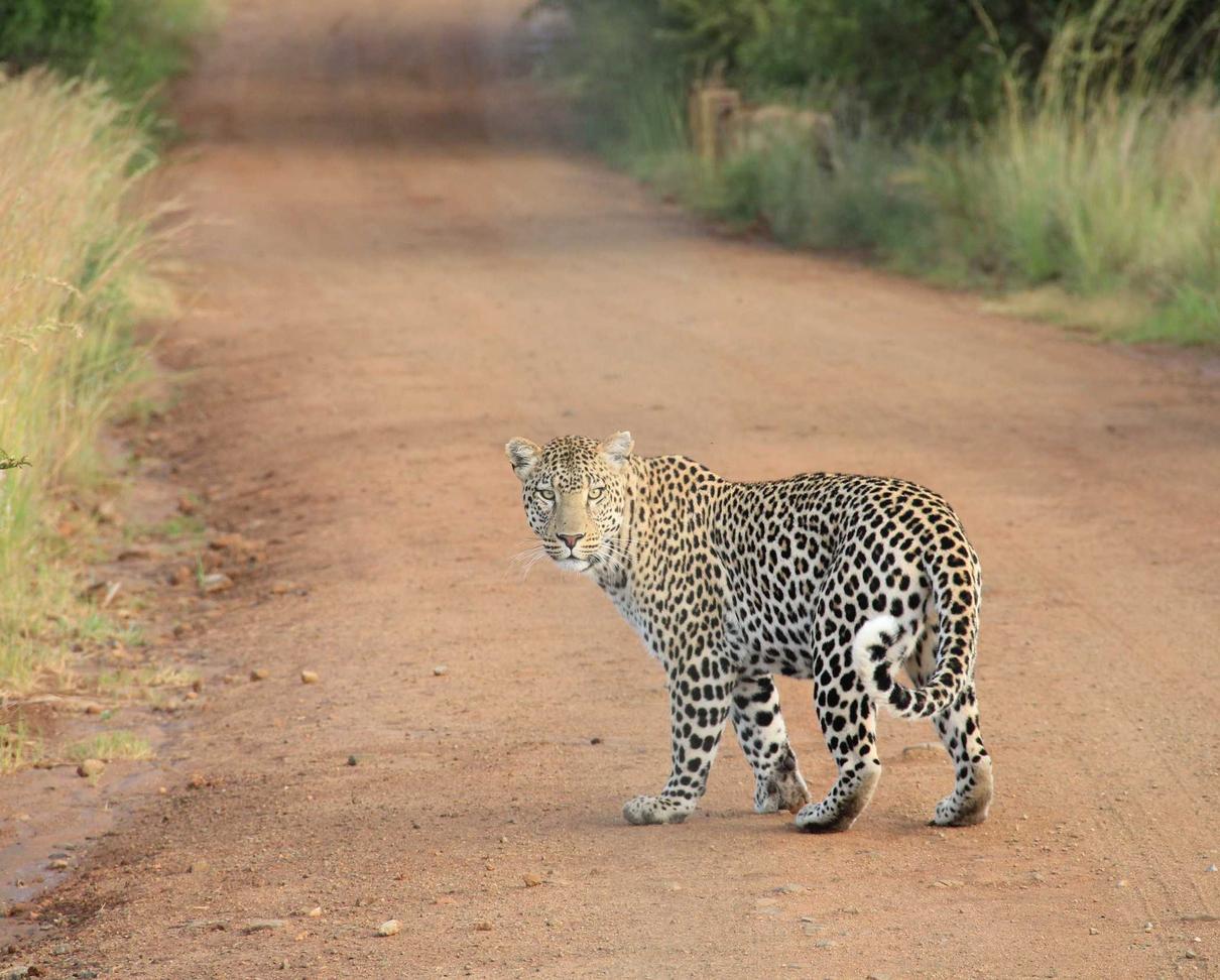 实名微信号批发：如何最大化通过短信营销推广的数据