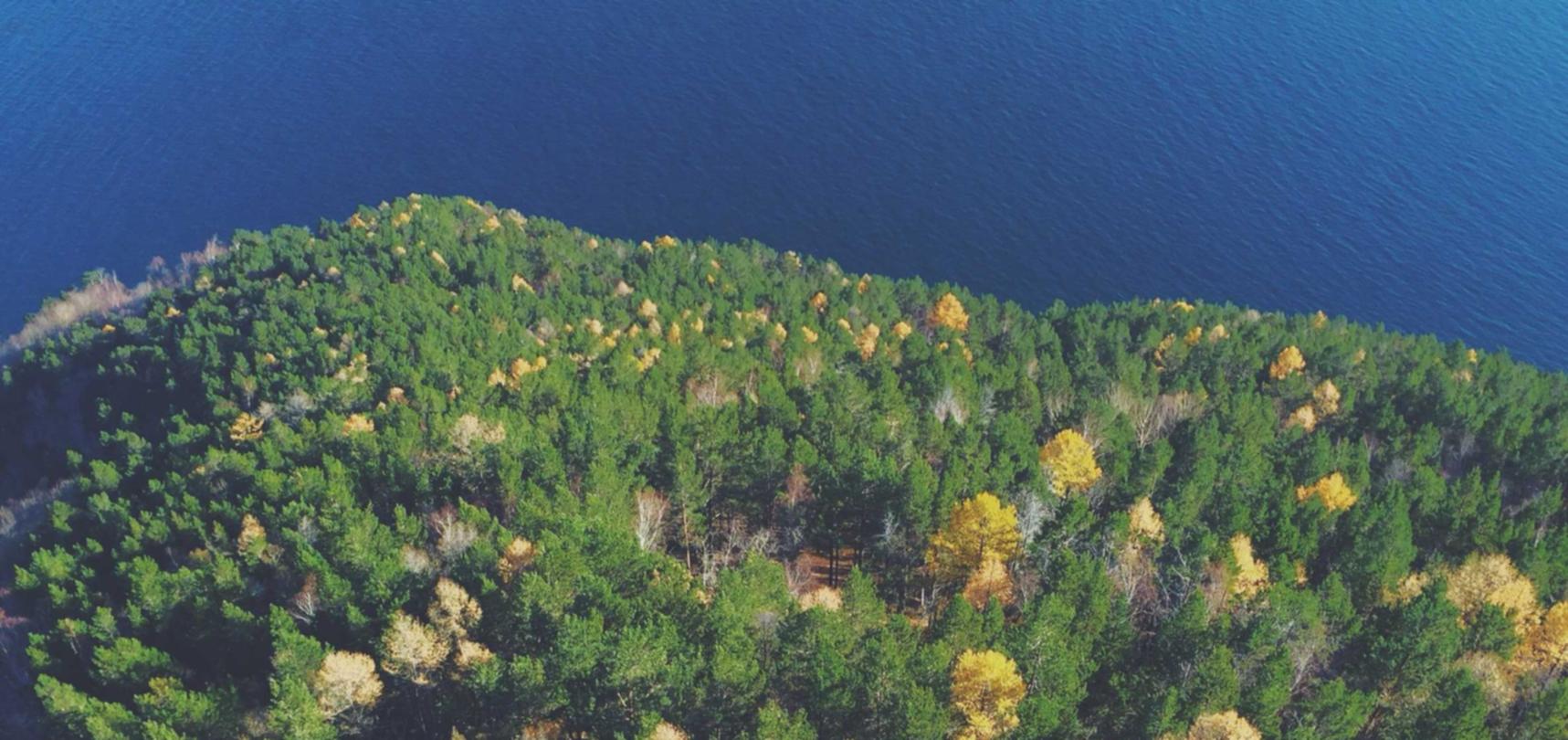 如何避免二手烟的危害？