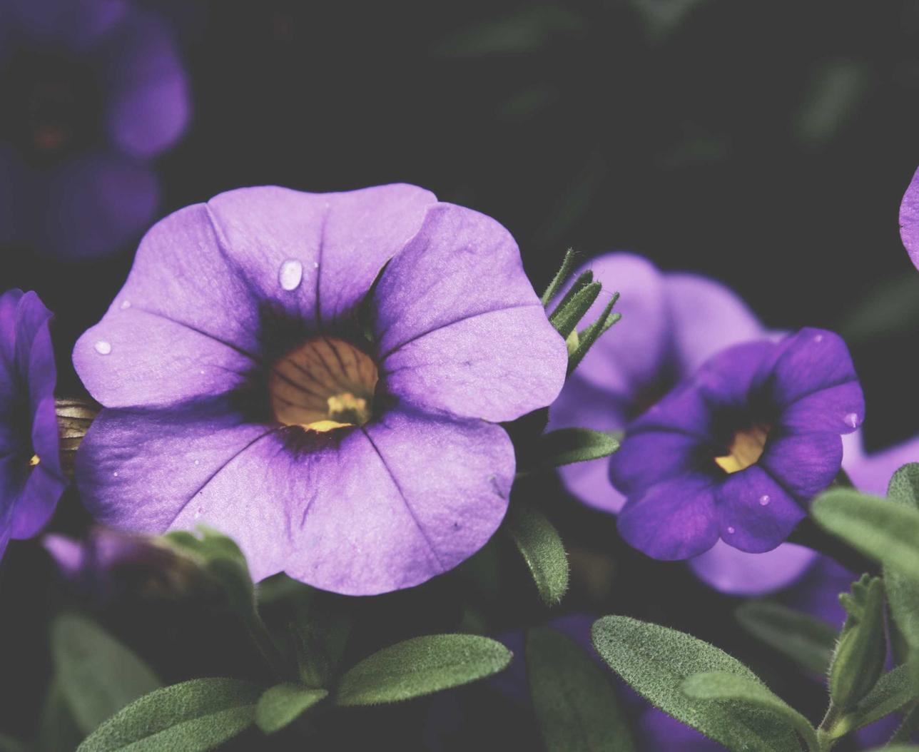 UDP攻击|探索宇宙app 详情下载教程