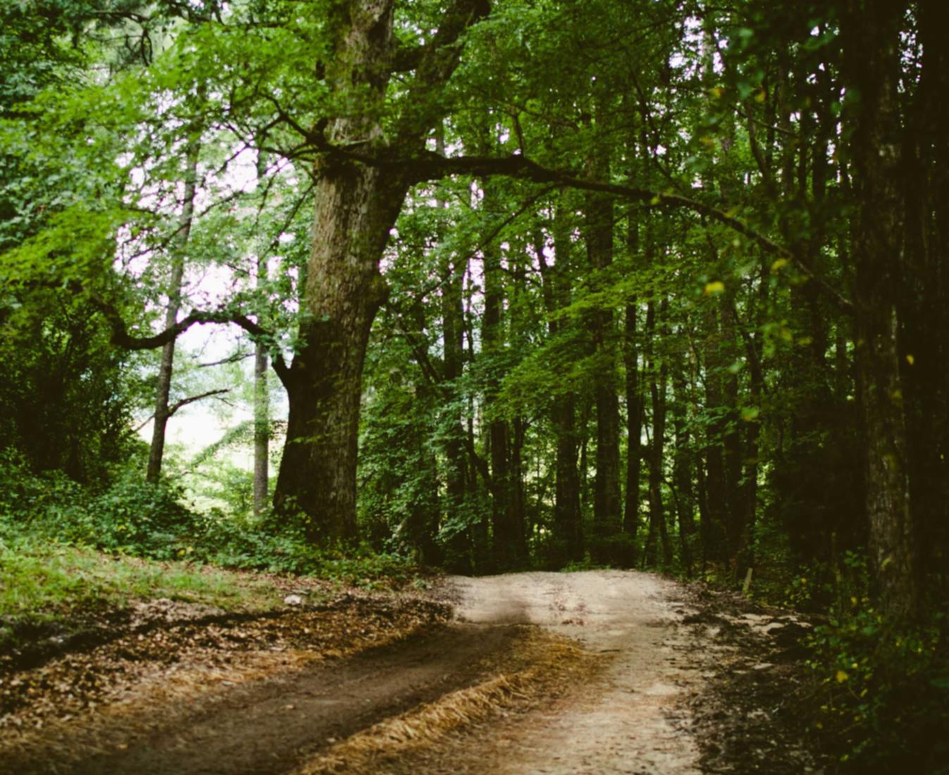 “最流行的技术支持辅助软件有哪些？” 