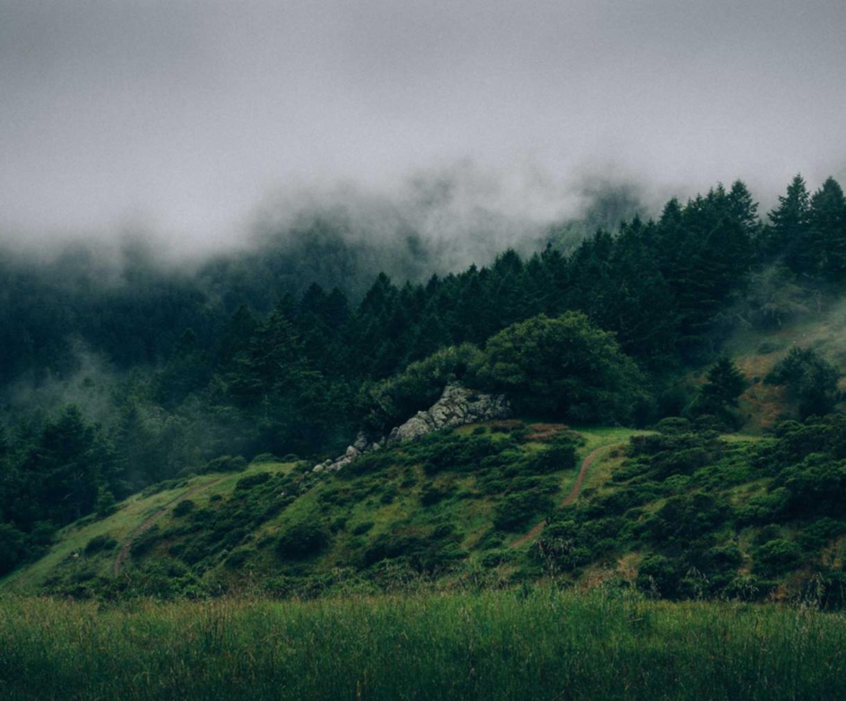 QQ炫舞手游：三星电视详情下载教程app详情下载教程