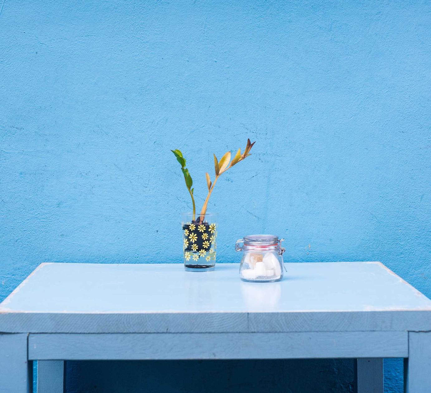 姚安县公司注册代理旺苍