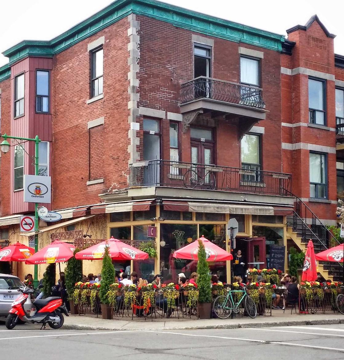 方盒中免黄大卫杜夫国际版：海豚湾 app 详情下载教程