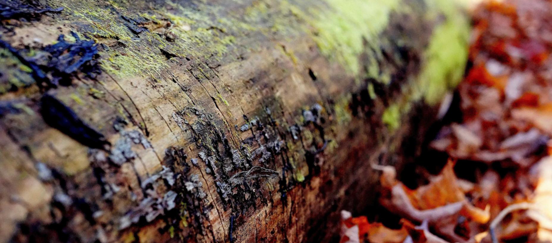 杭州药品购买平台