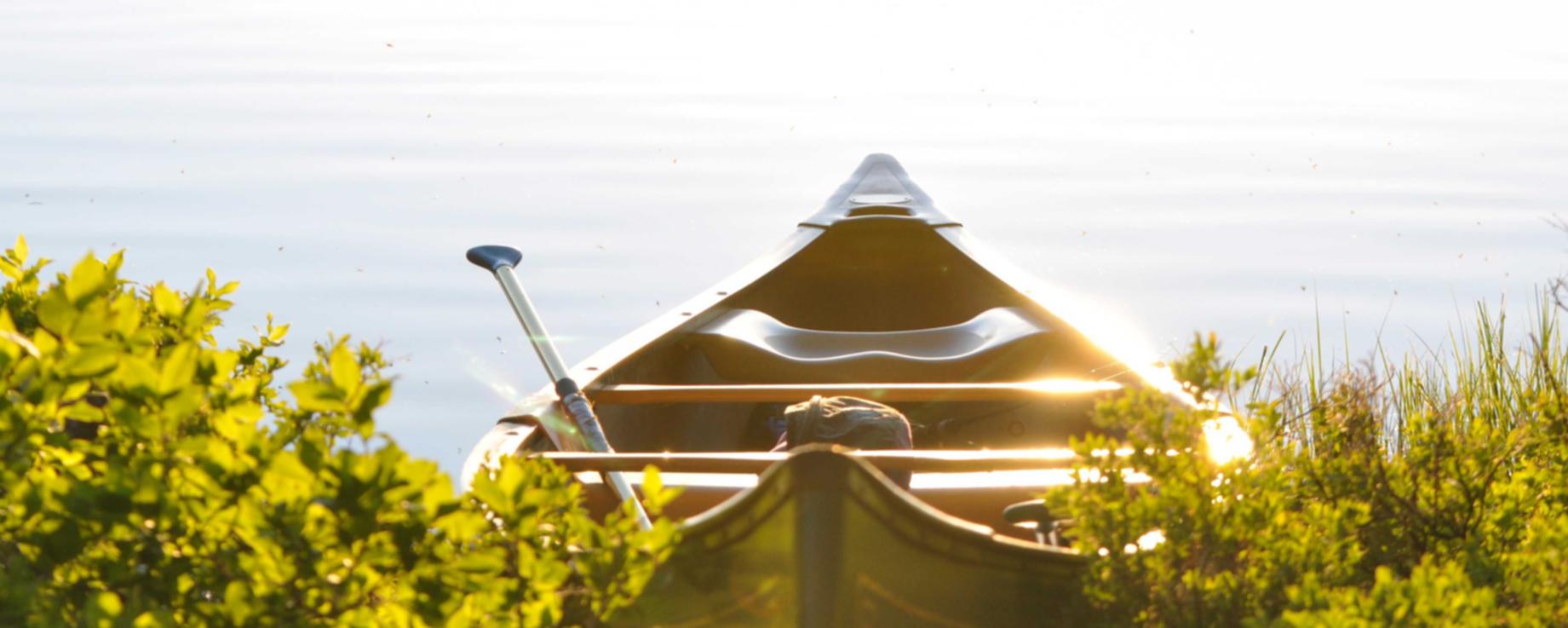 停止吸烟后如何减轻烟草过敏