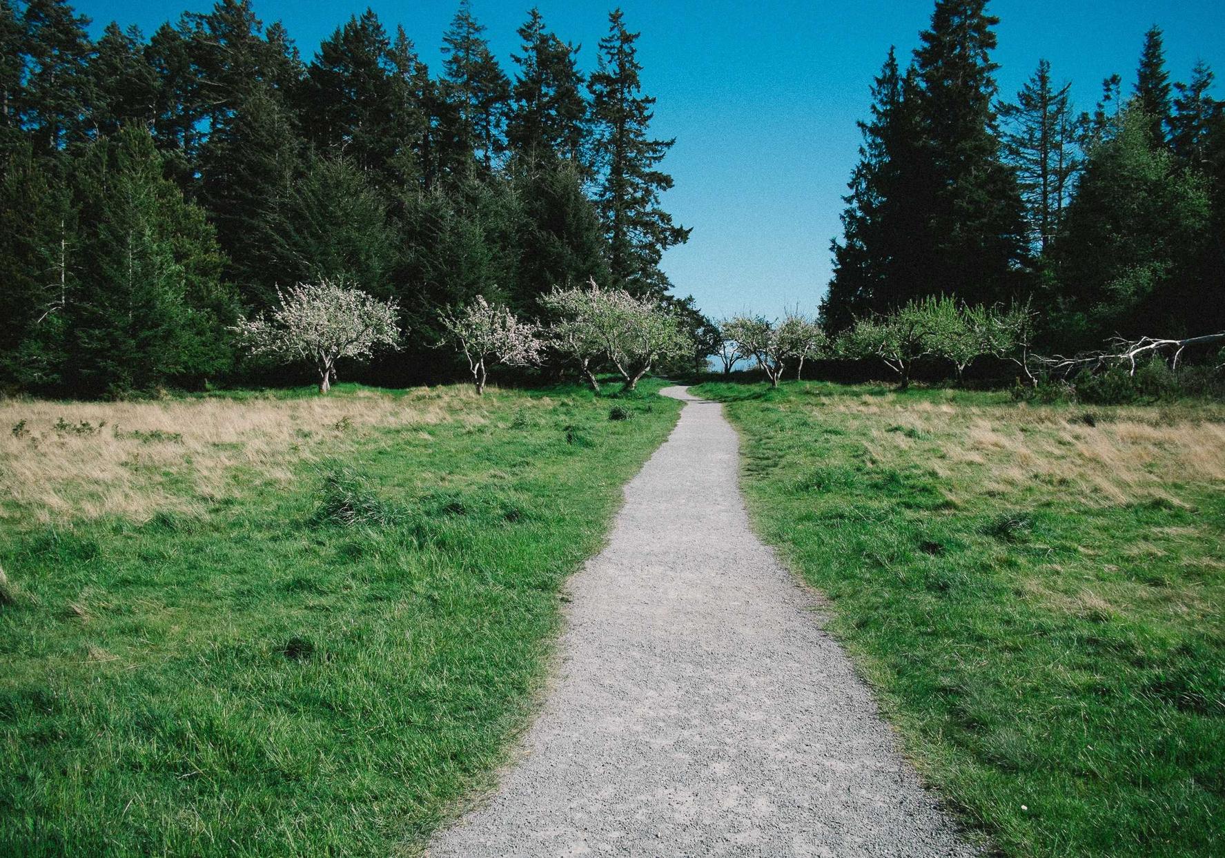 铁塔猫冰果爆珠（粗）：安卓app详情下载教程排名