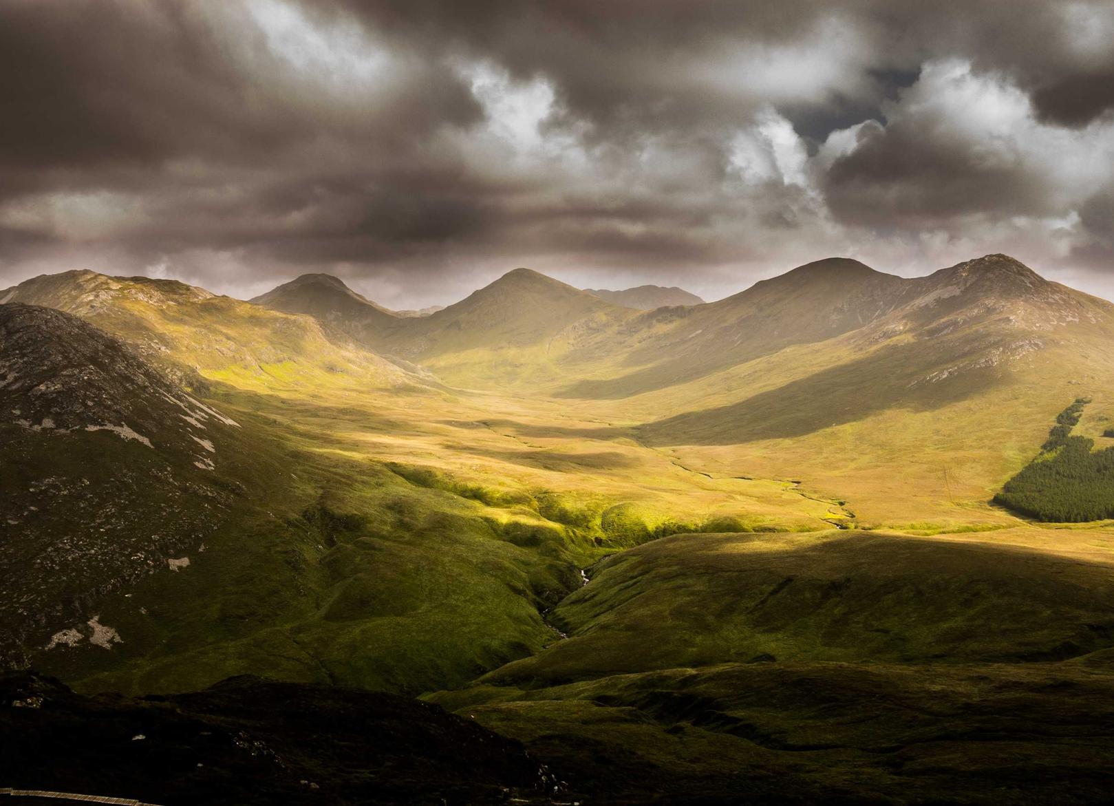 玩家社区是否拥有保护自身的规则