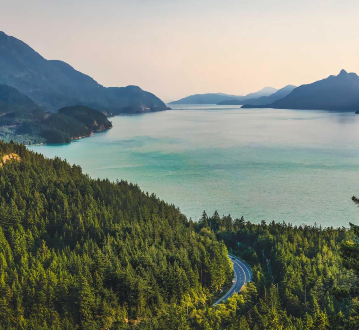 DDOS attack|茂名专利注册代理