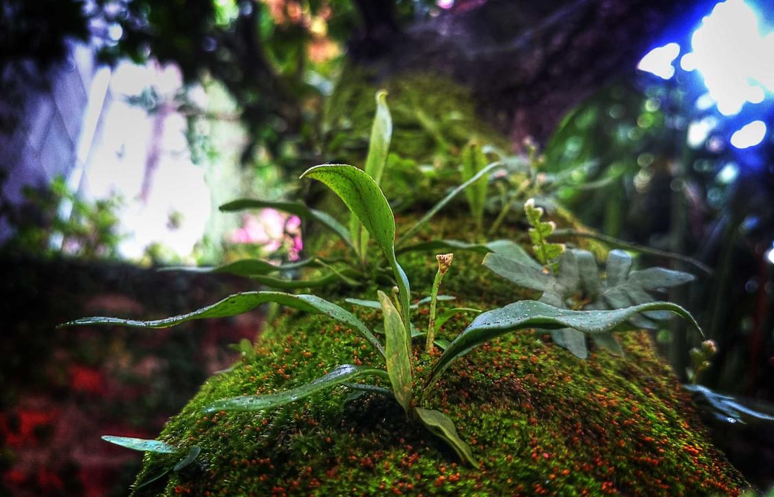 浙江公司会计代理平台官网