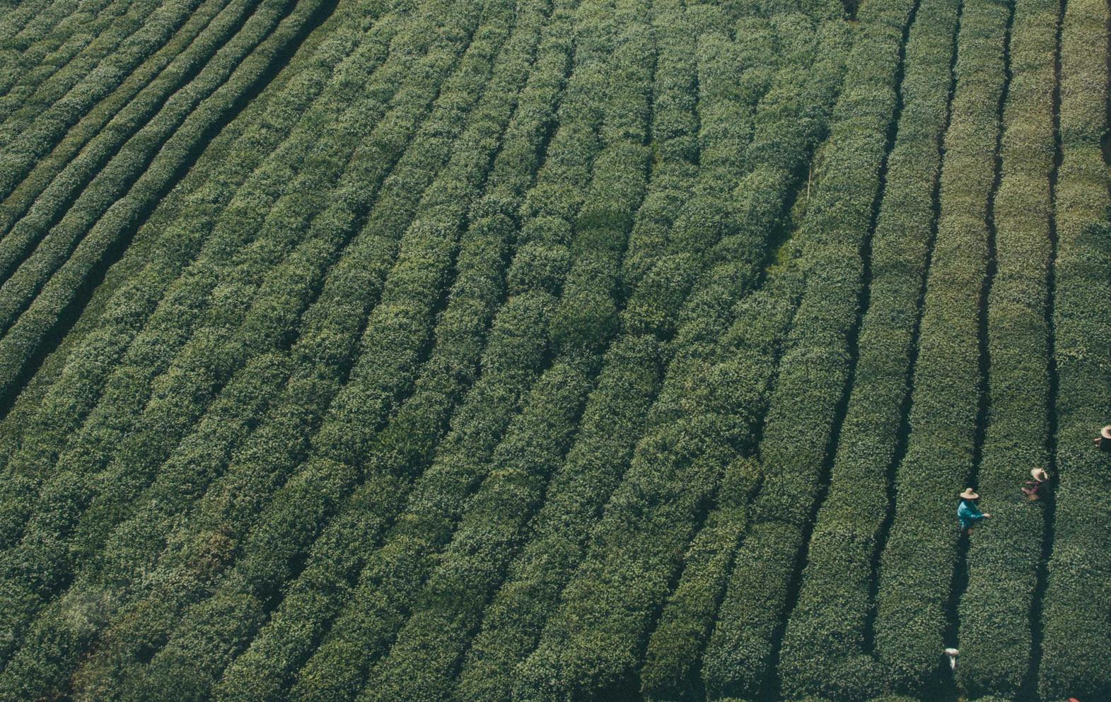 疯狂骑士团：苹果六详情下载教程app