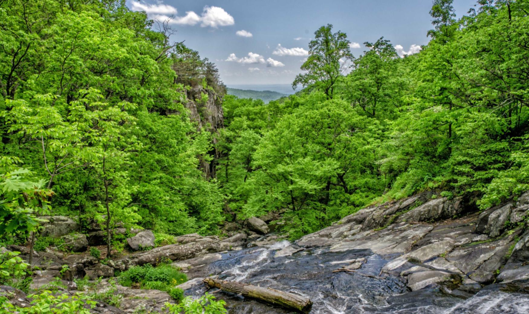 http攻击|多平台代理公会