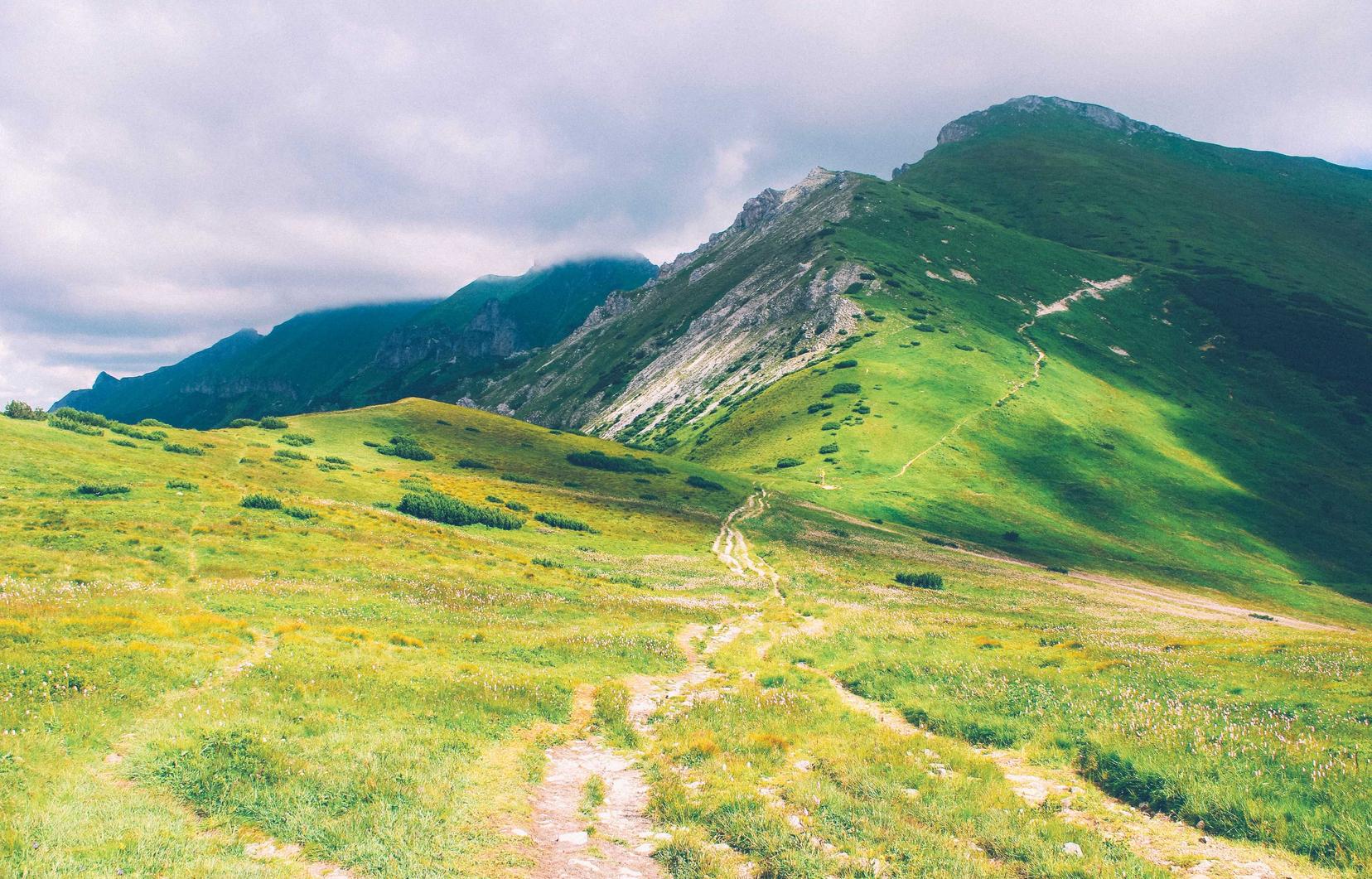 DDOS平台|正规企业注册代理