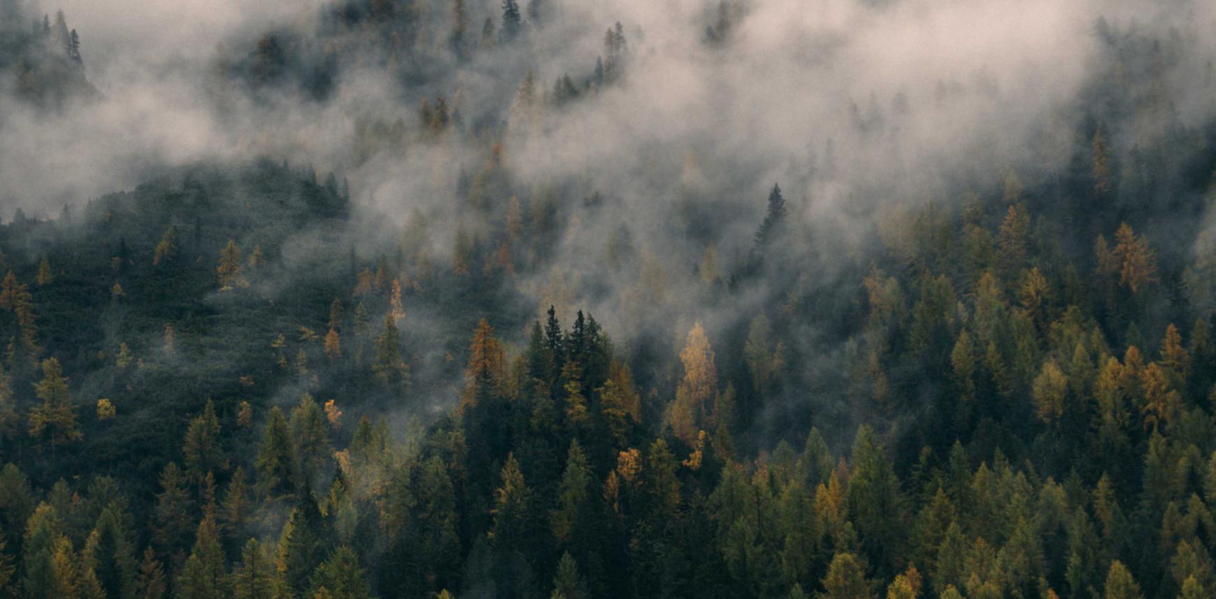 Mond梦都橙子：莱特币购买平台