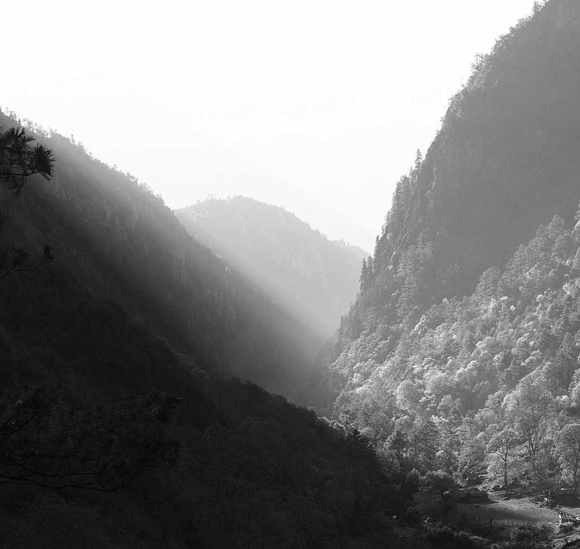 香烟的包装和设计如何影响消费者选择