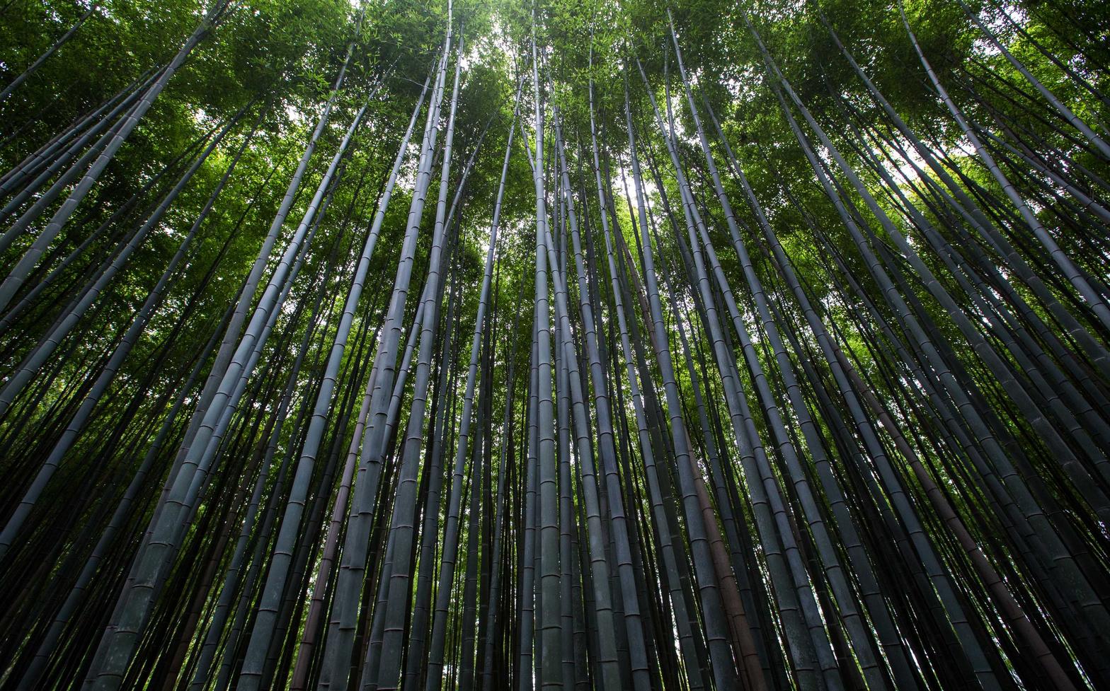 星之后裔:Knights of Veda：德扑圈账号注册