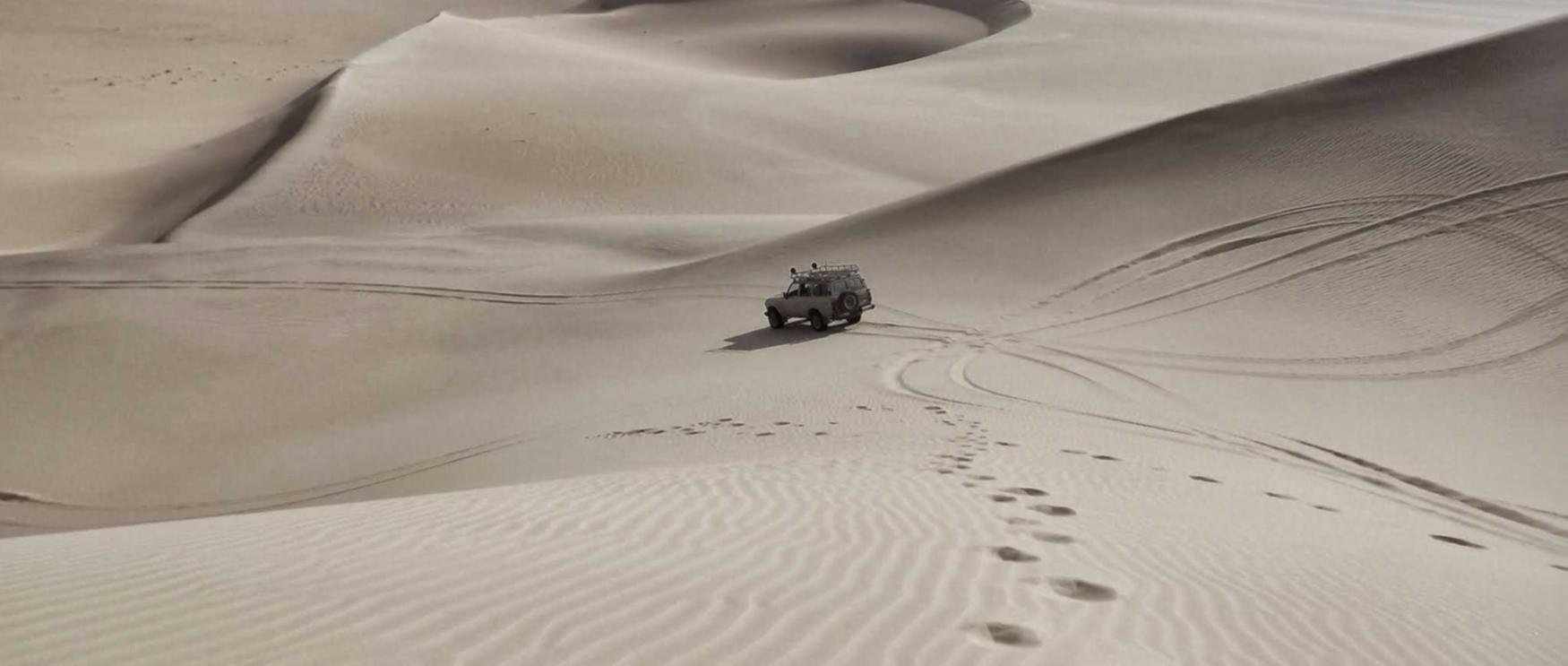 短信优化：你为什么要在短信中使用标签？