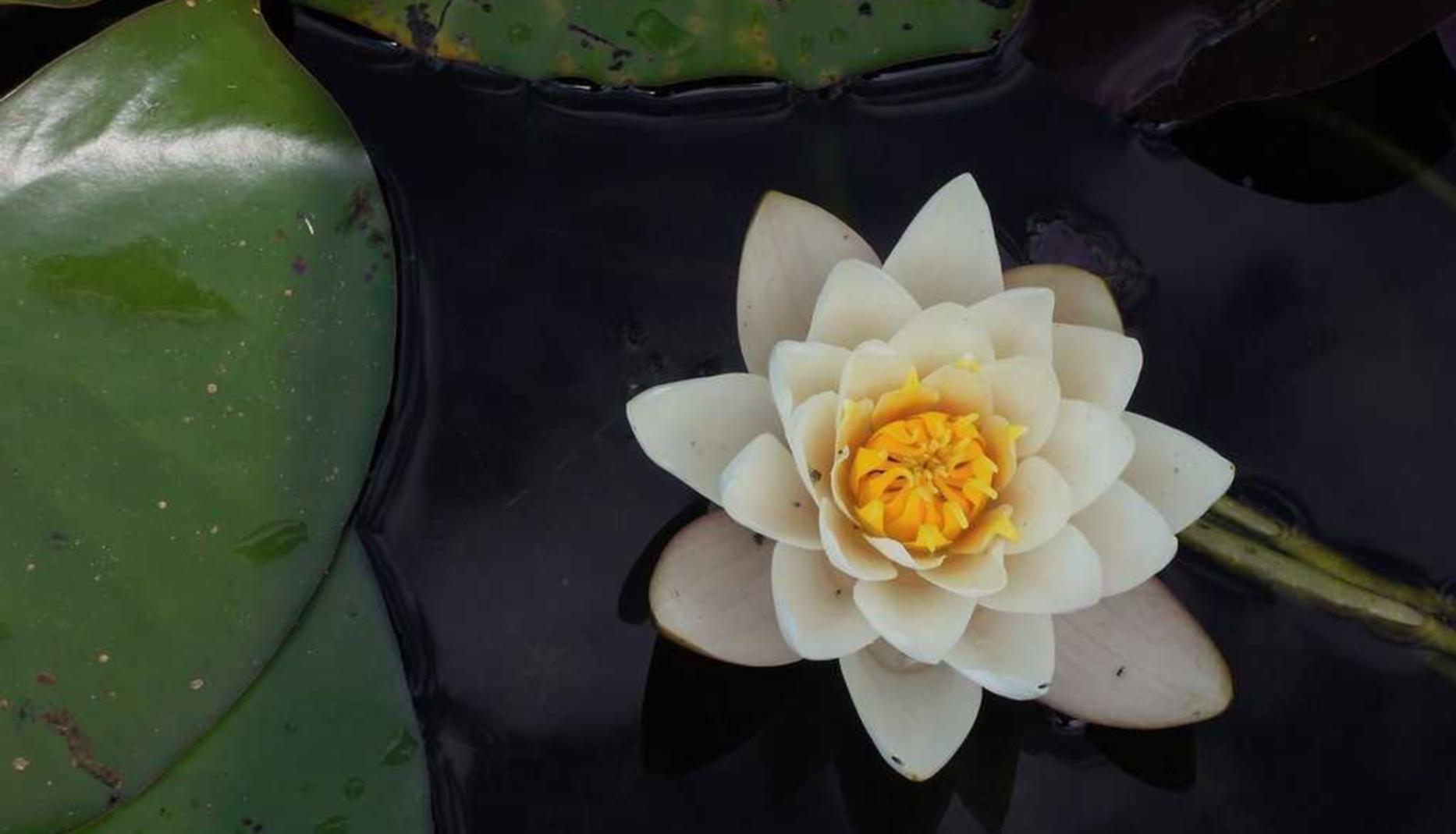 youtu app详情下载教程