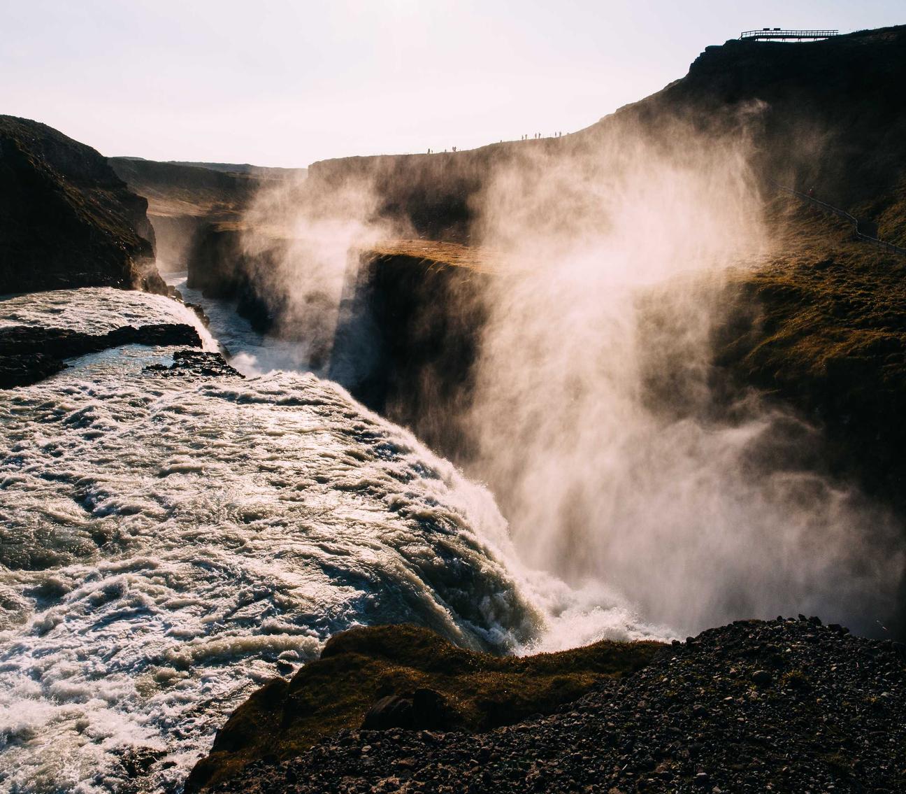 铁塔猫糖果双爆珠（细）：毒平台最近购买