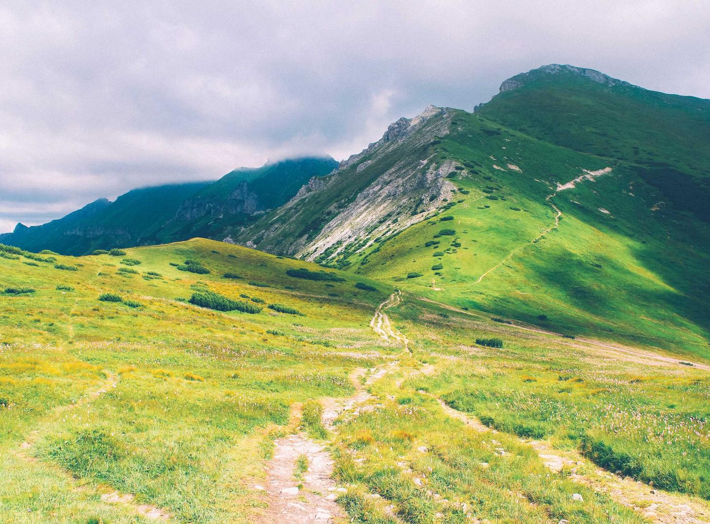 实名手机卡出售：建材加盟代理平台