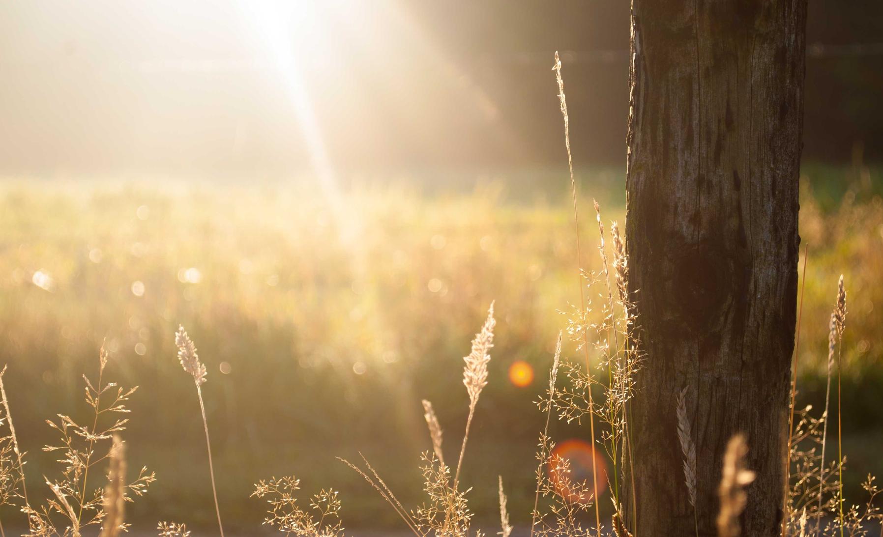 华为云国际站实名账号：皇冠平台代理