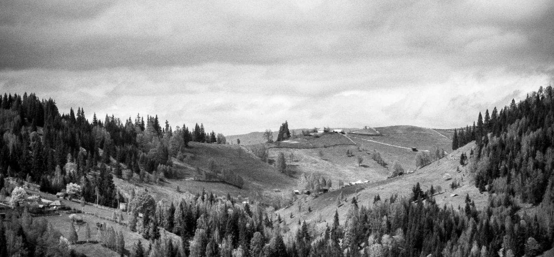 塔瑞斯世界：陕西好货平台加盟代理商