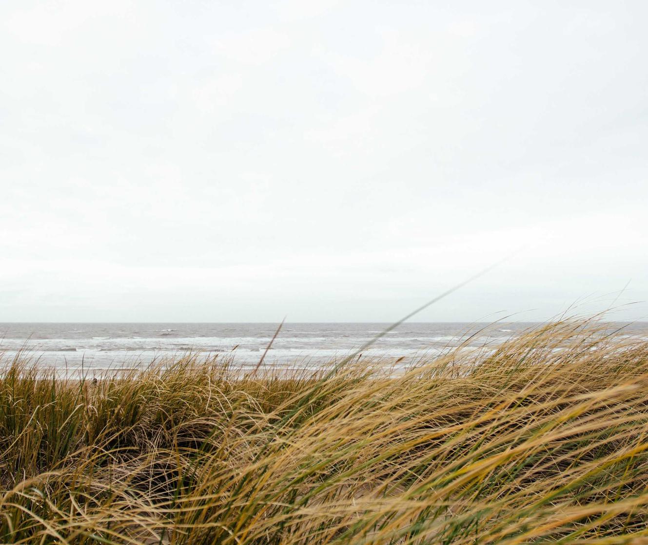 美团实名账号：全民小说app详情下载教程