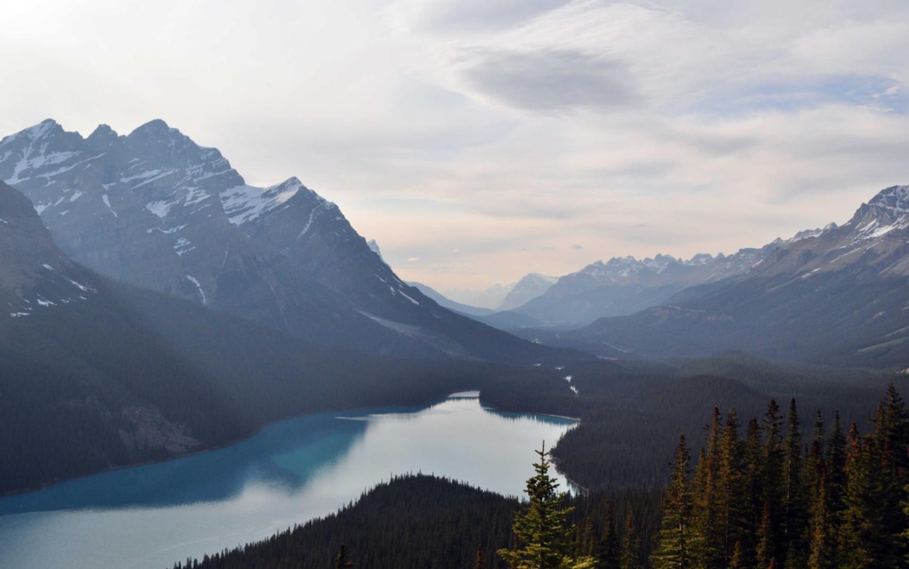 万事lv 购买平台