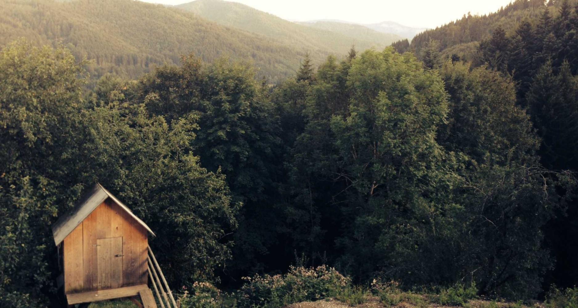 恒行3上海平台代理