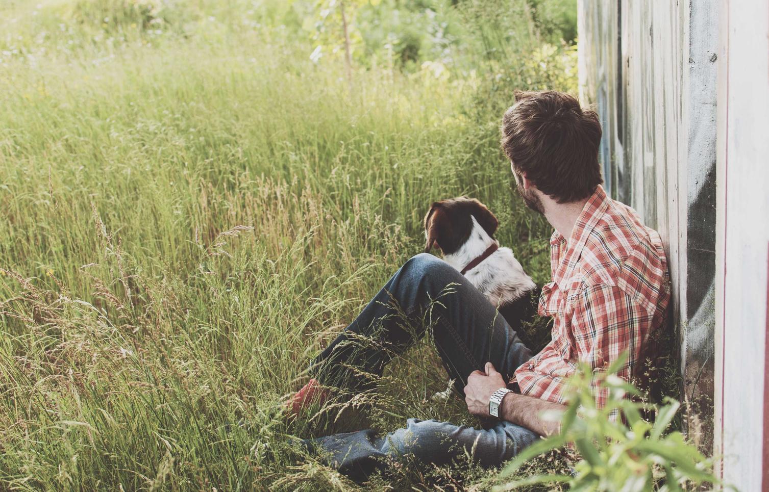 短信行业，怎样才能培育竞争力？