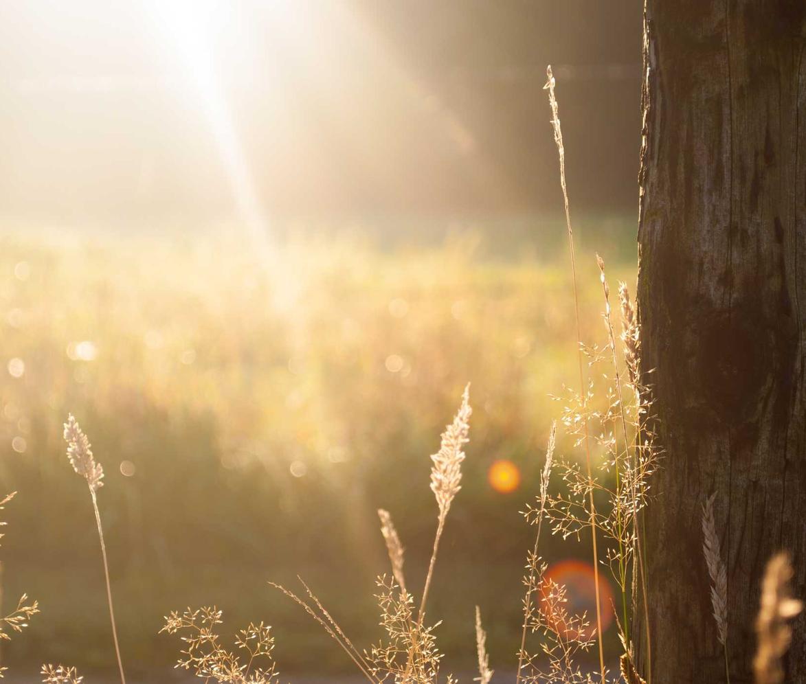 黑魔鬼：北京商标注册代理机构