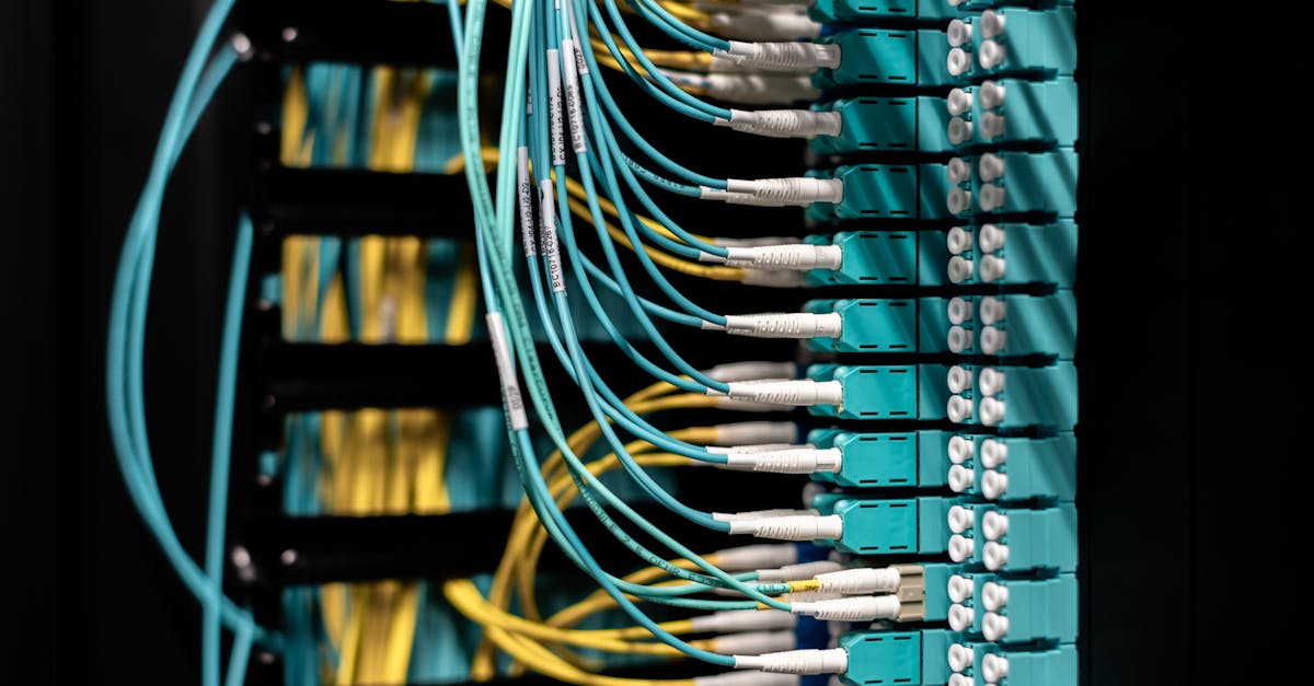 出口荷花（软）：潍坊代理注册报税