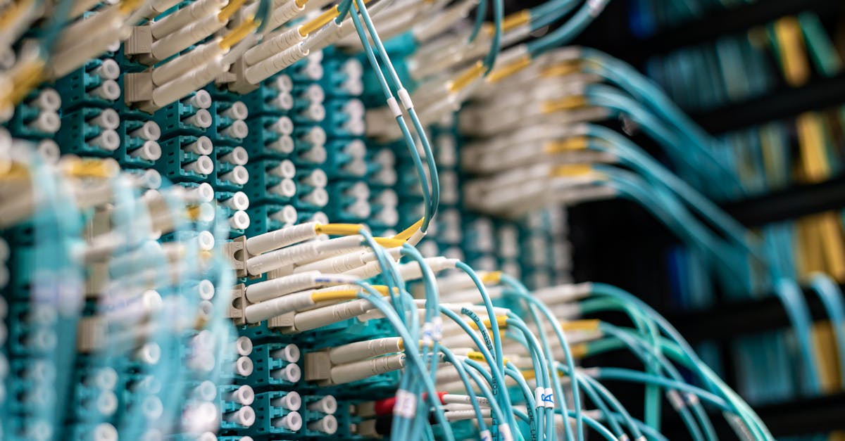 谷歌云GCP实名账号:实名认证是否在促进网络募捐方面起到了重要作用?